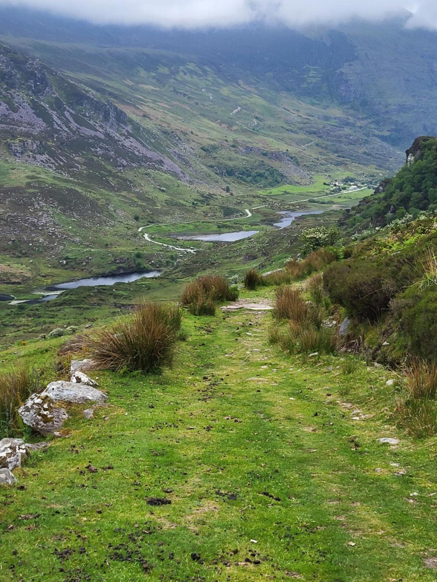 Colleen Bawn Cottage Gap Of Dunloe Kerry Laune Bridge 外观 照片